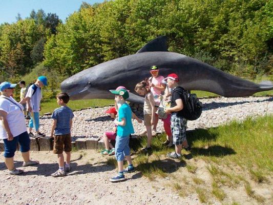  Grafika #5: Wycieczka do Ocean Parku we Władysławowie