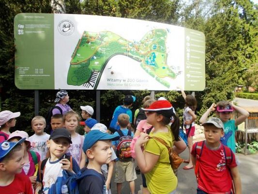  Grafika #1: Zwiedzamy ZOO w Gdańsku