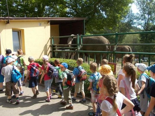  Grafika #2: Zwiedzamy ZOO w Gdańsku