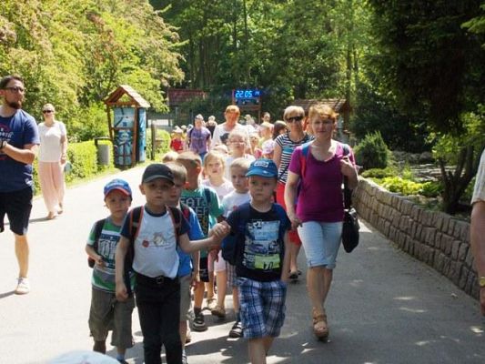  Grafika #4: Zwiedzamy ZOO w Gdańsku