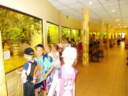  Grafika #5: Zwiedzamy ZOO w Gdańsku