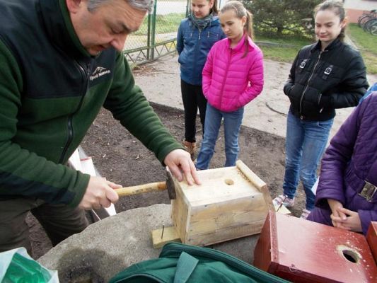  Grafika #1: Budujemy domki dla ptaszków
