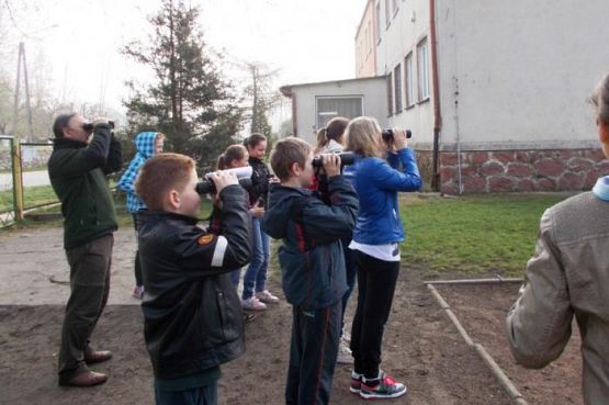  Grafika #4: Budujemy domki dla ptaszków