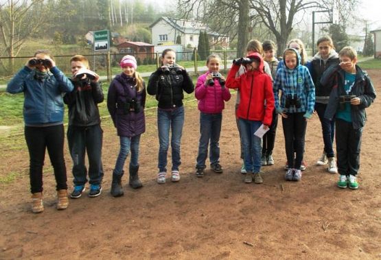  Grafika #5: Budujemy domki dla ptaszków