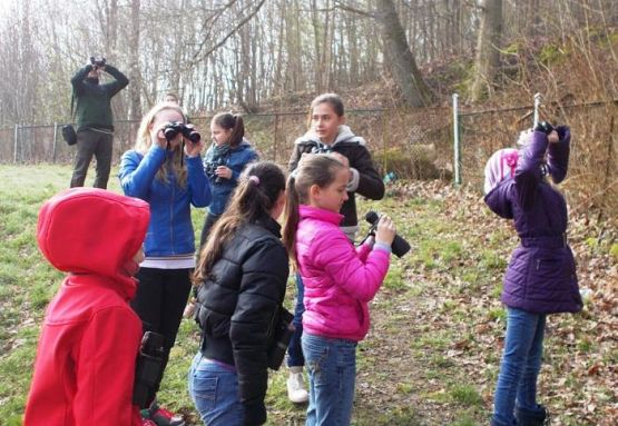 Grafika #6: Budujemy domki dla ptaszków