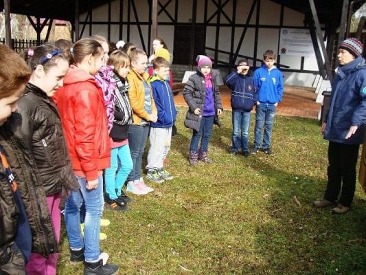  Grafika #9: Wycieczki do Słowińskiego Parku Narodowego klas 4-5