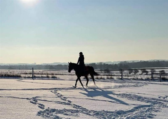 Grafika #3: Rozstrzygnięcie konkursu: Aktywni na sportowo!