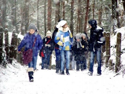  Grafika #3: Ferie zimowe II 2013r.