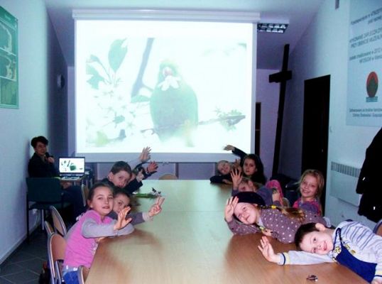  Grafika #8: Ferie zimowe II 2013r.