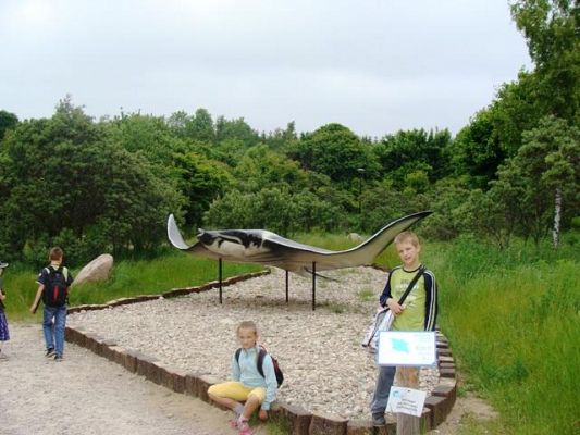  Grafika #5: Wycieczka do Władysławowa -Ocean Park 10 V 3013r.