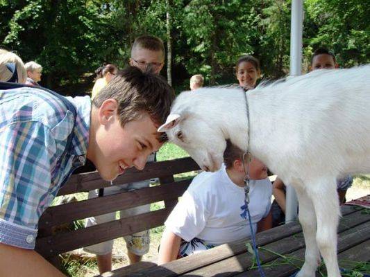  Grafika #20: Wycieczka na Kaszuby 10VI 2013r.