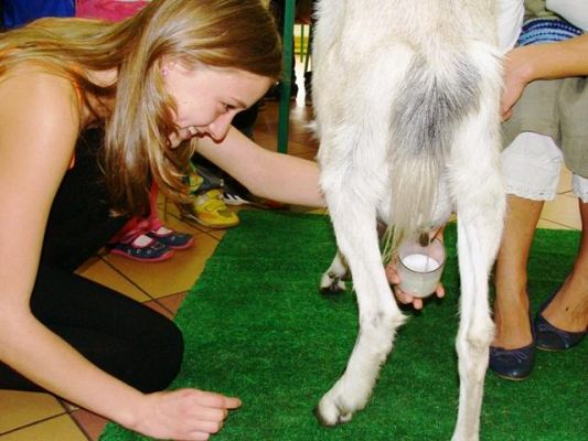  Grafika #9: Spotkanie z .kozą