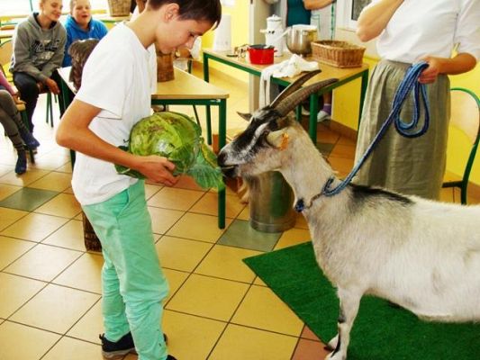  Grafika #5: Spotkanie z .kozą