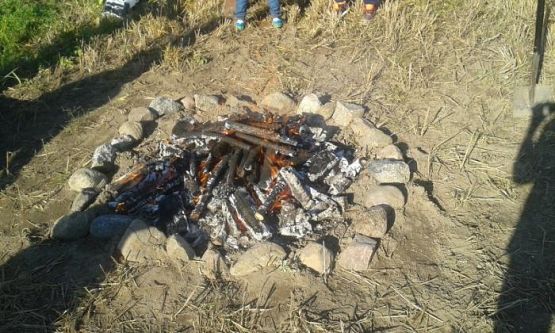  Grafika #1: Oddział Przedszkolny i klasa I świętują Dzień Pieczonego Ziemniaka 2015 r.