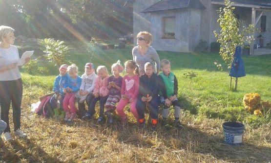  Grafika #5: Oddział Przedszkolny i klasa I świętują Dzień Pieczonego Ziemniaka 2015 r.