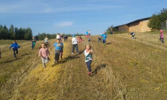  Grafika #22: Oddział Przedszkolny i klasa I świętują Dzień Pieczonego Ziemniaka 2015 r.