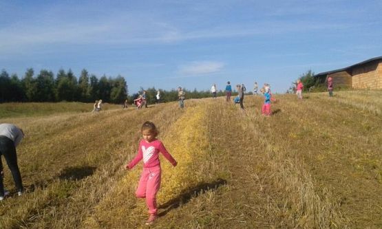  Grafika #24: Oddział Przedszkolny i klasa I świętują Dzień Pieczonego Ziemniaka 2015 r.