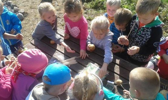  Grafika #31: Oddział Przedszkolny i klasa I świętują Dzień Pieczonego Ziemniaka 2015 r.