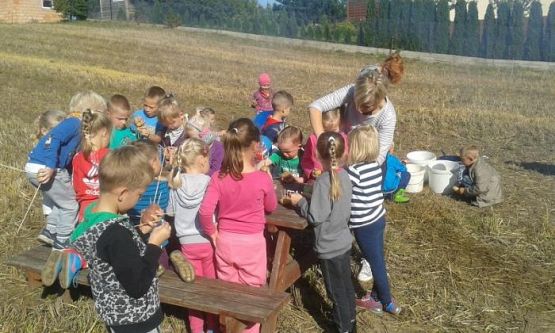  Grafika #34: Oddział Przedszkolny i klasa I świętują Dzień Pieczonego Ziemniaka 2015 r.