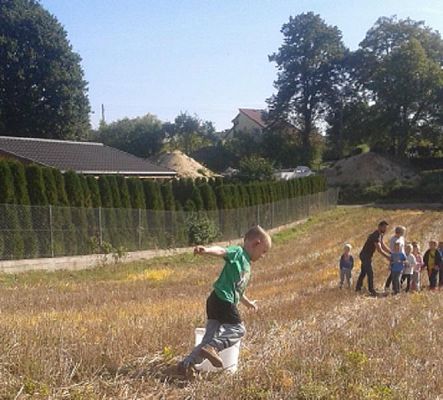  Grafika #45: Oddział Przedszkolny i klasa I świętują Dzień Pieczonego Ziemniaka 2015 r.