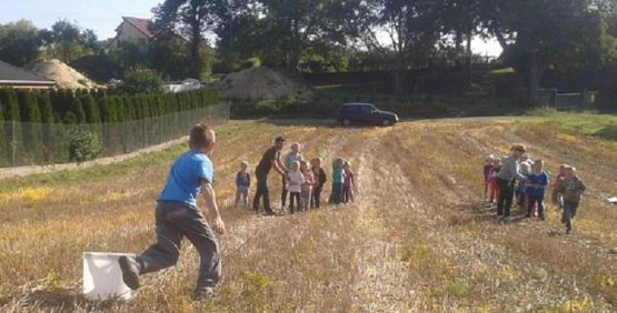  Grafika #46: Oddział Przedszkolny i klasa I świętują Dzień Pieczonego Ziemniaka 2015 r.