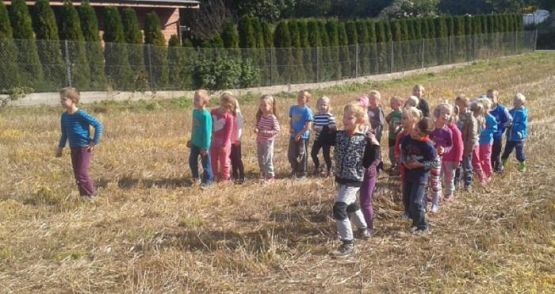  Grafika #4: Program dla klas I Szkoły Podstawowej - Mały Mistrz