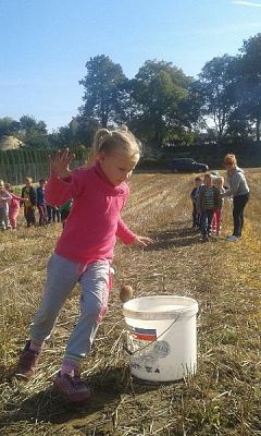  Grafika #5: Program dla klas I Szkoły Podstawowej - Mały Mistrz