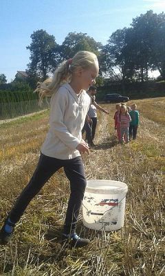  Grafika #6: Program dla klas I Szkoły Podstawowej - Mały Mistrz