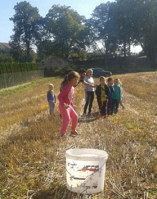  Grafika #7: Program dla klas I Szkoły Podstawowej - Mały Mistrz