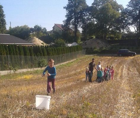  Grafika #8: Program dla klas I Szkoły Podstawowej - Mały Mistrz