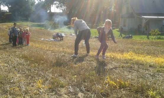  Grafika #13: Program dla klas I Szkoły Podstawowej - Mały Mistrz