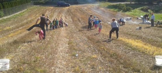  Grafika #16: Program dla klas I Szkoły Podstawowej - Mały Mistrz