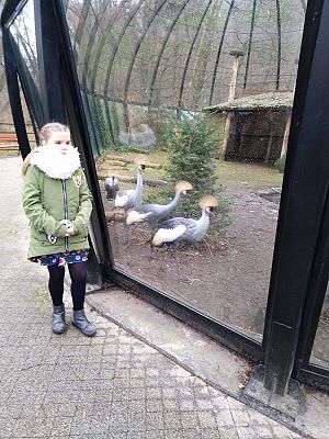 Grafika #5: Finał Konkursu pt. Méstër Belnégò Czëtanié