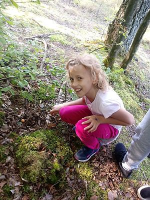  Grafika #1: Zbieramy grzyby