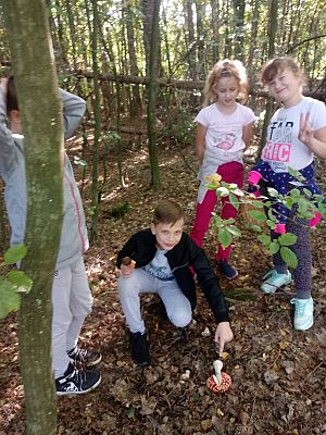  Grafika #2: Zbieramy grzyby