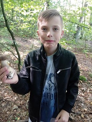  Grafika #3: Zbieramy grzyby