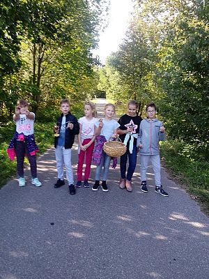  Grafika #0: Zbieramy grzyby