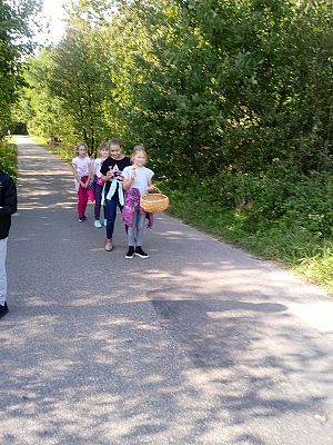  Grafika #5: Zbieramy grzyby