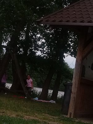  Grafika #5: Piknik nad jeziorem