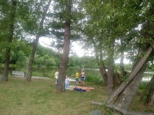  Grafika #4: Piknik nad jeziorem