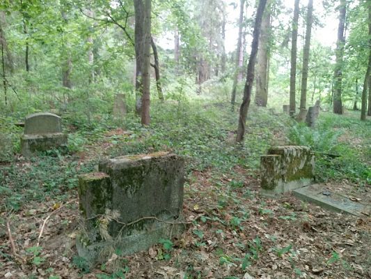 Grafika #4: Kolejna lekcja w terenie