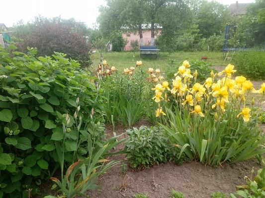 Grafika #7: Kolejna lekcja w terenie