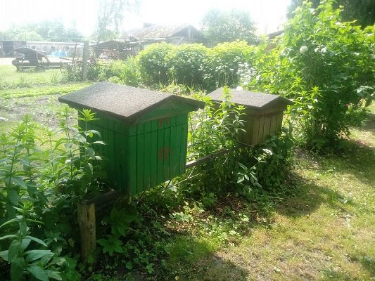 Grafika #8: Kolejna lekcja w terenie