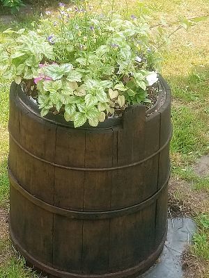 Grafika #9: Kolejna lekcja w terenie