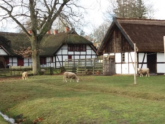  Grafika #20: Zwiedzanie skansenu w Klukach z lekcją muzealną pt. Wokół kuchennego pieca