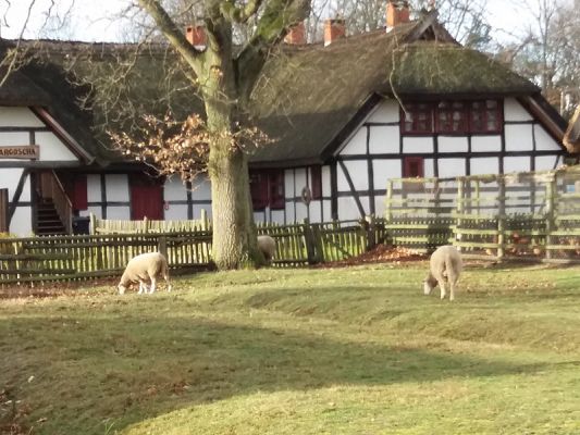  Grafika #6: Zwiedzanie skansenu w Klukach z lekcją muzealną pt. Wokół kuchennego pieca