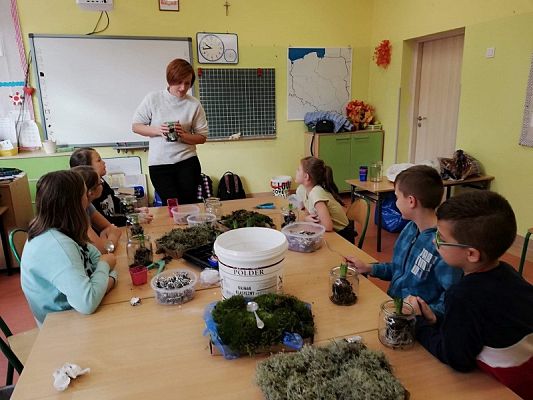 Grafika #6: Spotkanie z florystką