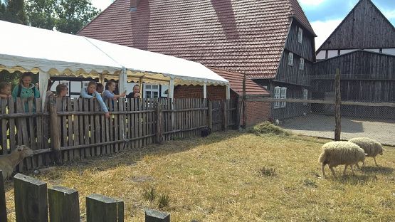 Grafika #31: Wycieczka do Swołowa i Jarosławca