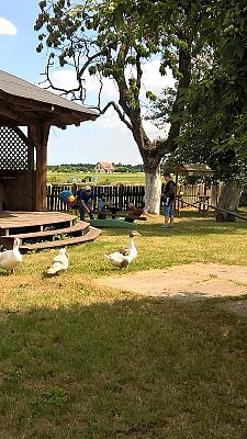 Grafika #32: Wycieczka do Swołowa i Jarosławca