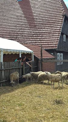 Grafika #36: Wycieczka do Swołowa i Jarosławca